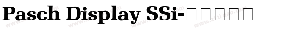 Pasch Display SSi字体转换